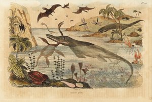 Ausgestorbene Dinosaurier, Ichthyosaurier, Plesiosaurier, Meerestiere, Pterodaktylen, Eidechsen, Schildkröten, Insekten, Fische, Tintenfische, Mollusken usw.
