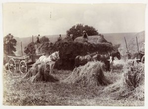 Landwirtschaftsszenen, Ernte & Lagerung, Vor 1900 Ernte, ca. 1890