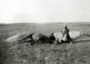 Erster Weltkrieg 14-18 (1914-1918): drei französische Soldaten begraben ein totes Pferd - Fotografie auf Glasplatte von Unbekannter Künstler