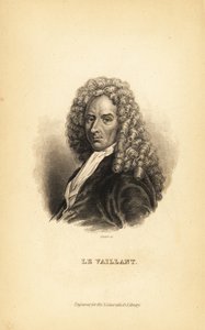 Francois le Vaillant, französischer Autor, Entdecker, Naturforscher und Ornithologe von Unbekannt