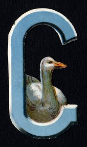 G wie Gans. Käfer-Decoupis zum Thema Tiere. Gravur. Serie von 26 Waffel-Chromolithographien englischen Ursprungs. Herausgeber und Illustrator unbekannt. Ende des 19. Jahrhunderts. von Unbekannt