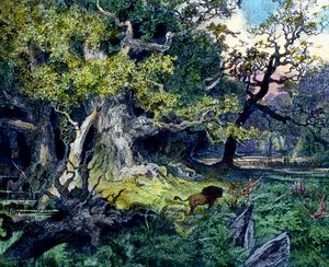 Deutscher Wald