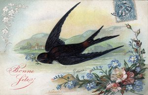 Geburtstagskarte: Schwalbe bringt eine Blume - Postkarte von 1906 von Unbekannt