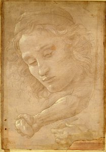 Kopf eines Jugendlichen, Zeichnung aus einer Seite des "Libro dei Desegni" von Georgio Vasari von Unbekannt