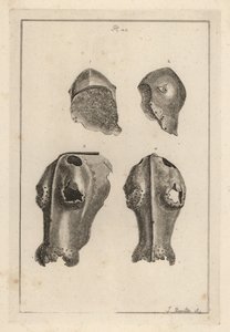 Helm 1,2 und eiserner Chanfron oder Chafron 3,4, die Guy, Earl of Warwick gehörten