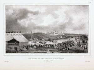 Pferderennen in Longwood, St. Helena von Unbekannt