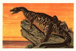 Iguanodon bernissartensis, ausgestorbene Art des Iguanodontian
