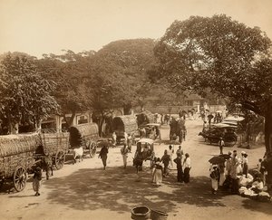 Indische Straße zwischen den Bäumen mit Karren und Menschen von Unbekannter Künstler