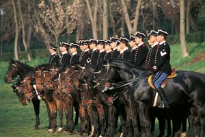 Italien, Kürassier-Schwadron zu Pferd in Reihe stehend von William M. Timlin