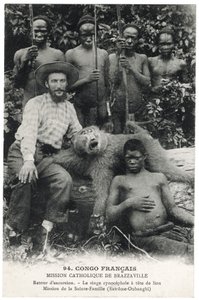 Der Löwenkopf-Pavian, ca. 1910 (Lithografie)