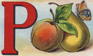 Buchstabe P als Pfirsich, Birne und Schmetterling von Unbekannt