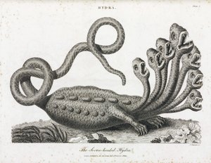 Die siebenköpfige Hydra von Unbekannt