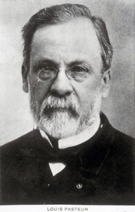 Louis Pasteur, französischer Chemiker und Mikrobiologe, ca. 1885 von Unbekannter Künstler