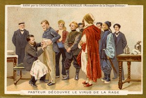 Louis Pasteur entdeckt das Tollwutvirus