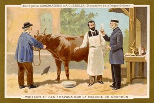 Louis Pasteur arbeitet an der Heilung von Milzbrand