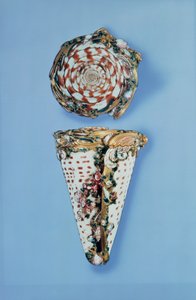 Louis XV Gold-Schnupftabakdosen in Form von Muscheln von B. Sagaret, Paris (1715-74) von Unbekannt