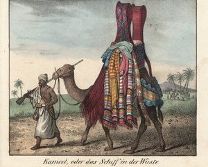Mann aus Nordafrika, Musketenpistole, treibt eine Kamelkarawane mit Decken. Lithographie aus dem Buch: „Galerie complète en tableaux fidèles des peuples d