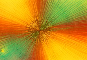 Mikrographien (Licht) Ascorbinsäure, Lichtmikrographie