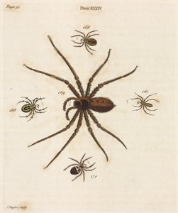 Mikroskopie von Unbekannt