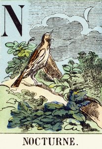N : Nacht - Das Jagdalphabet, ca. 1890 (Gravur) von Unbekannt