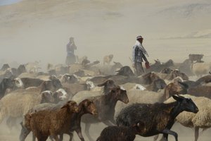 Nomadenzelte zwischen Tamar und Ashkhaneh, Iran 2022 von Unbekannter Künstler