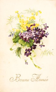 Alte Postkarte/Veilchen und Mimose