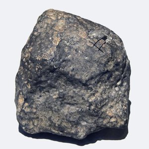 Gewöhnlicher Chondrit (L/LL5). Gefallen in Toimbee, Ukraine 1866. Nationalmuseum für Naturgeschichte, Paris.