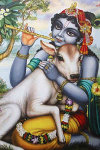 Gemälde darstellend den hinduistischen Gott Krishna, der Flöte spielt und ein Kalb streichelt. Indien von Unbekannt