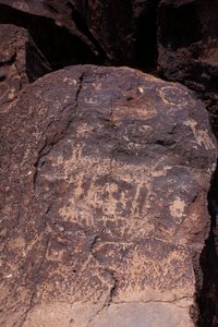 Petroglyphen, die Tiere und Figuren darstellen - Petroglyph National Monument - Albuquerque, New Mexico, USA von William M. Timlin