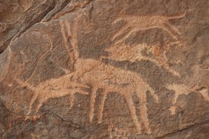 Felskunst, Vorgeschichte: Gravur einer Antilope, die von einem Rudel Hunde im Uweinat-Massiv, Ägypten, angegriffen wird (Zeitraum von 8000 bis 3000 v. Chr.). Fotografie