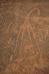Felskunst, Vorgeschichte: Gravur von Giraffen, Straußen, Schafen und Figuren im Uweinat-Massiv, Sudan (Karkur-Talh oder Karkur Talh). Zeitraum von 8000 bis 3000 v. Chr. Fotografie