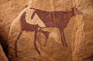 Felskunst, Vorgeschichte: Felsmalerei einer großen zweifarbigen Kuh und ihres Kalbes in einem verzierten Schutzraum im Uweinat-Massiv, Sudan. Zeitraum von 8000 bis 3000 v. Chr. Fotografie
