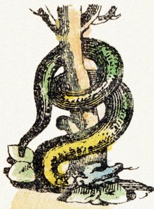 S - Schlange - Kinderunterhaltungsalphabet ca. 1890 (Lithographie) von Unbekannt
