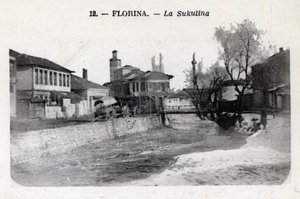 Serbien, Florina (heutiges Griechenland): Blick auf die Sukulina - Postkarte 1914-1918 von William M. Timlin