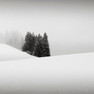 Snowytales Oasis, Bayern, Deutschland von Leopold Blonder