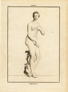 Statue der Venus, römische Göttin der Liebe, Schönheit, Sexualität und Fruchtbarkeit von Unbekannt
