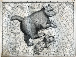 Die borealen Sternbilder: der Große Bär und der Kleine Löwe. Gravur aus Camille Flammarions „Les étoiles et les autres curiosités du ciel“ von Unbekannt