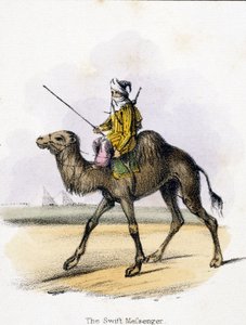 Der schnelle Bote, um 1845 von Unbekannter Künstler