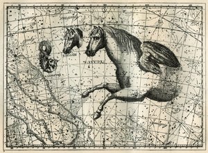 Die Konstellation des Pegasus, gezeichnet wie die vordere Hälfte eines Pferdes mit einem Paar Flügel, das kleine Pferd, ein Pferdekopf und der Delphin. Gravur aus „Les étoiles et les autres curiosités du ciel“ von Camille Flammarion von Unbekannt
