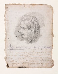 Thomas Henry Huxley, englischer Biologe, Mitte bis Ende des 19. Jahrhunderts