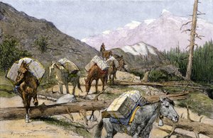 Transport von Vorräten und Pelzen zu Pferd in den Rocky Mountains, USA. Nach einer Illustration von Frederic Remington. Packzug, der Vorräte oder Pelze über die Rockies transportiert