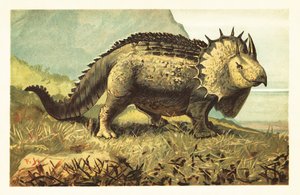 Triceratops prorsus, ausgestorbener pflanzenfressender Dinosaurier. 1908 (Lithografie) von Unbekannter Künstler