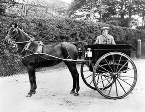 Vereinigtes Königreich: Ein Pferd und eine Kutsche. um 1905