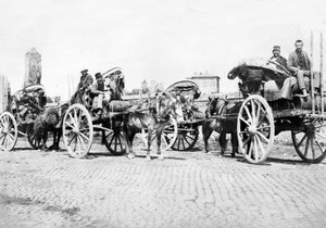 Vereinigtes Königreich: Weinkarren in einem Weinberg. Frankreich, ca. 1890 von Unbekannt