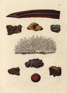 Varietäten von Eisenerz. Handkolorierter Kupferstich nach einer Illustration aus Georg Wolfgang Knorrs Deliciae Naturae Selectae oder Kabinet van Zeldzaamheden der Natuur, Blusse und Sohn, Nürnberg von Unbekannter Künstler