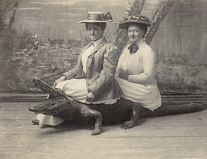 Frauen sitzen auf einem ausgestopften Alligator, ca. 1905 (s/w Foto)