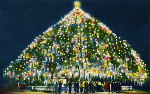 Größter lebender Weihnachtsbaum der Welt, Wilmington