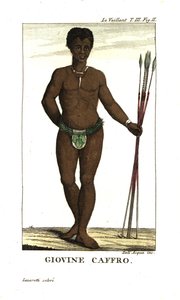 Junger San-Mann mit Speeren, Südafrika. Von Francois Le Vaillant von Unbekannter Künstler