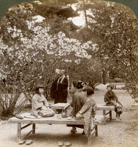 Eine Familie genießt ein Picknick unter den Kirschblüten, Omuro Gosho, Kyoto, Japan, 1904 von Underwood and Underwood