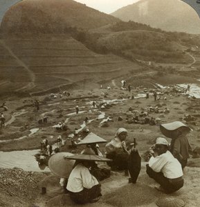Ausbaggern eines Flussbetts nach Rubinen, Mogok, Burma, um 1900